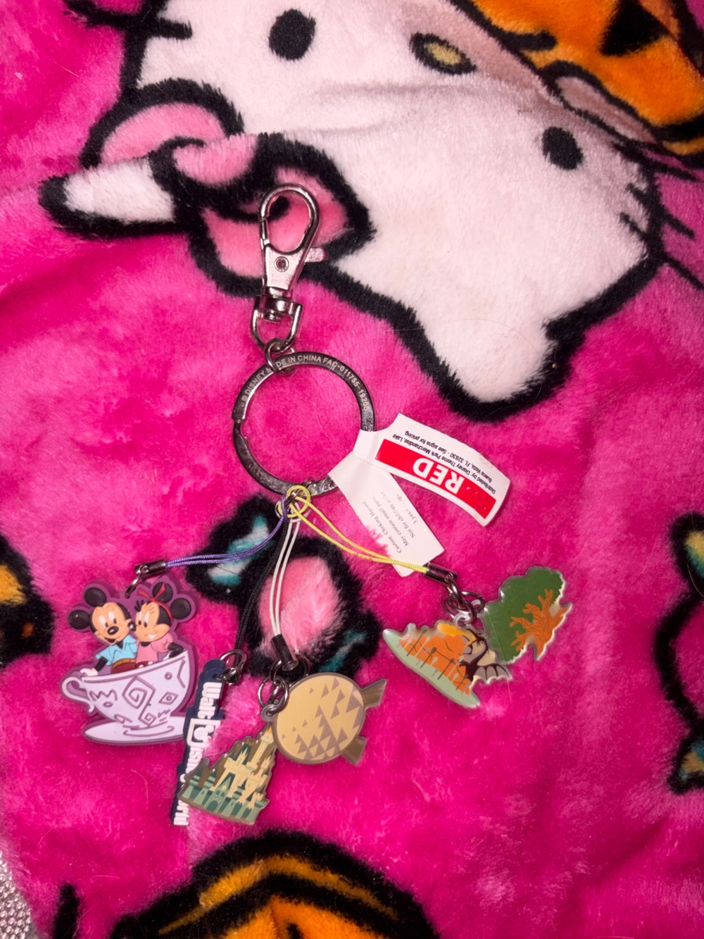 Disney Parks Icons Magic Kingdom Epcot Animal Kingdom Hollywood Studios keychain